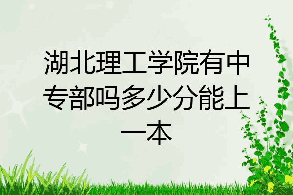 湖北理工学院有中专部吗多少分能上一本