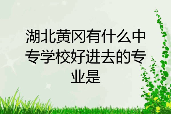 湖北黄冈有什么中专学校好进去的专业是