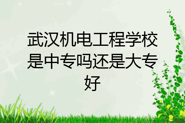 武汉机电工程学校是中专吗还是大专好