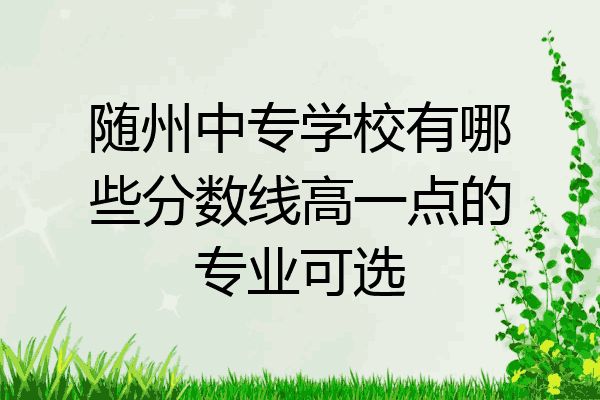 随州中专学校有哪些分数线高一点的专业可选