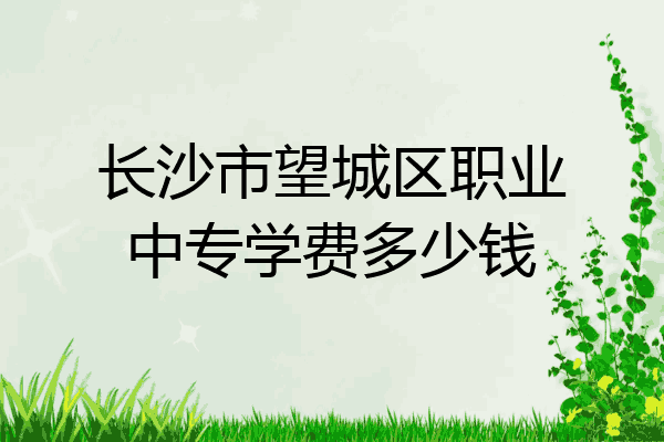 长沙市望城区职业中专学费多少钱
