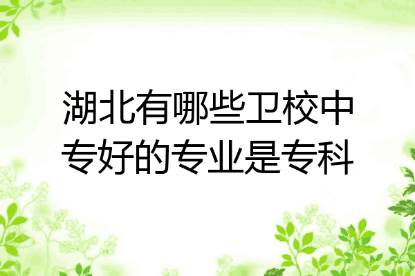 湖北有哪些卫校中专好的专业是专科