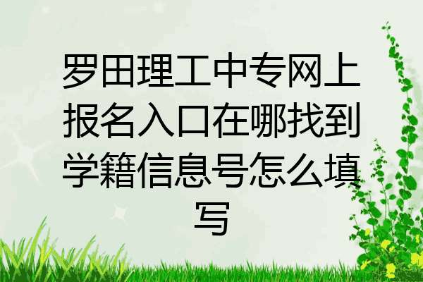 罗田理工中专网上报名入口在哪找到学籍信息号怎么填写
