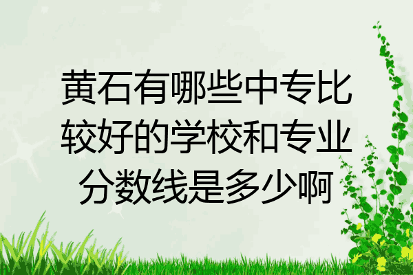 黄石有哪些中专比较好的学校和专业分数线是多少啊