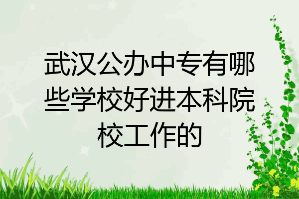 武汉公办中专有哪些学校好进本科院校工作的