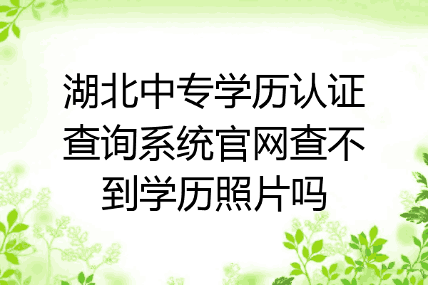 湖北中专学历认证查询系统官网查不到学历照片吗