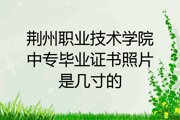 荆州职业技术学院中专毕业证书照片是几寸的