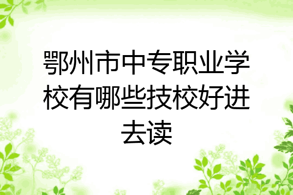 鄂州市中专职业学校有哪些技校好进去读