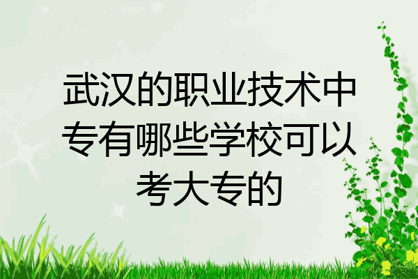 武汉的职业技术中专有哪些学校可以考大专的