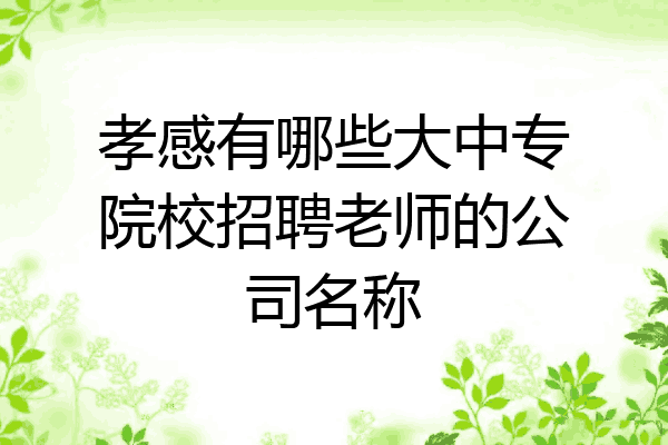 孝感有哪些大中专院校招聘老师的公司名称