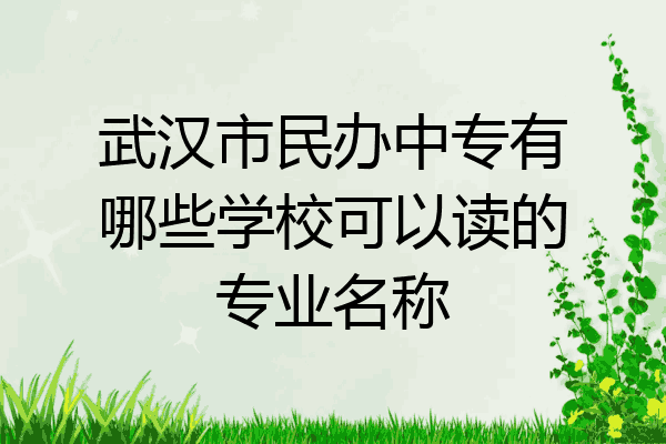 武汉市民办中专有哪些学校可以读的专业名称
