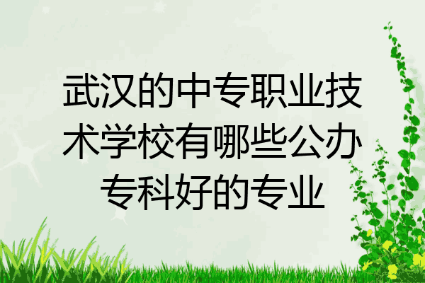 武汉的中专职业技术学校有哪些公办专科好的专业
