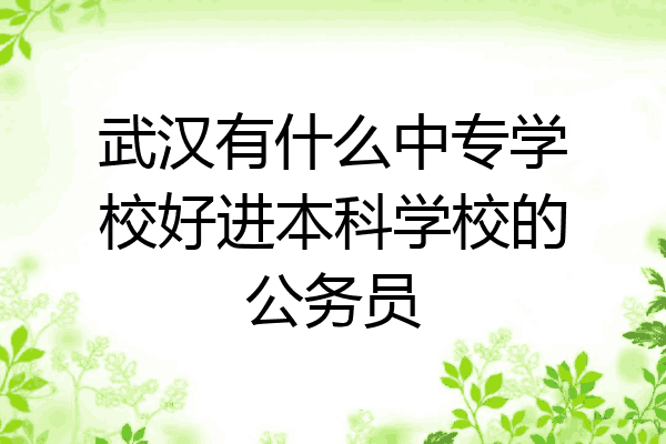 武汉有什么中专学校好进本科学校的公务员