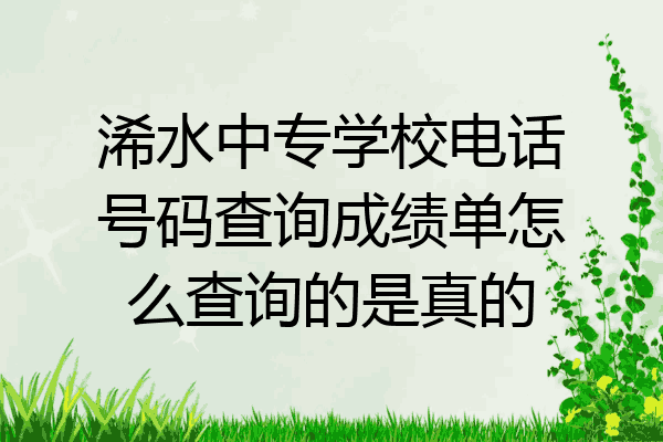 浠水中专学校电话号码查询成绩单怎么查询的是真的