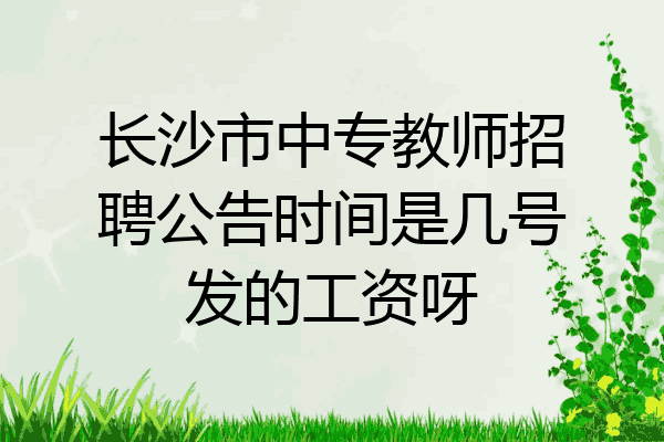 长沙市中专教师招聘公告时间是几号发的工资呀
