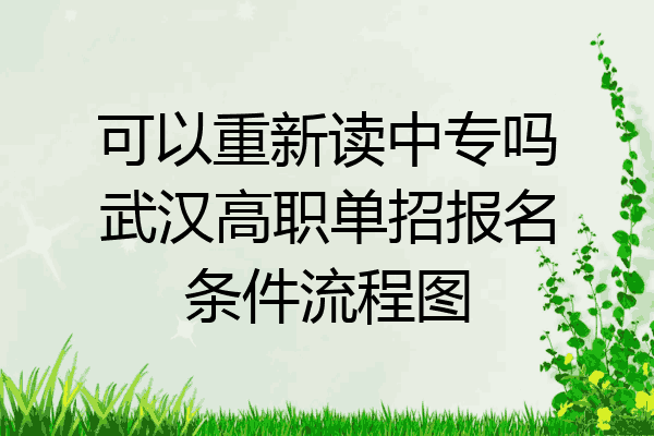 可以重新读中专吗武汉高职单招报名条件流程图
