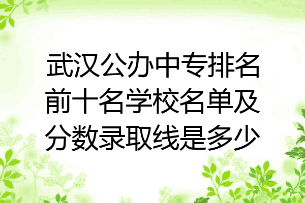 武汉公办中专排名前十名学校名单及分数录取线是多少