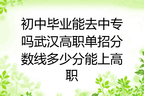 初中毕业能去中专吗武汉高职单招分数线多少分能上高职