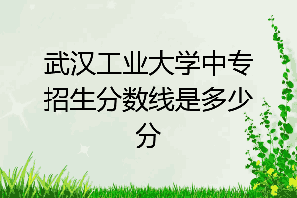 武汉工业大学中专招生分数线是多少分