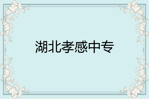湖北孝感中专