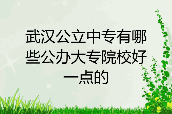 武汉公立中专有哪些公办大专院校好一点的