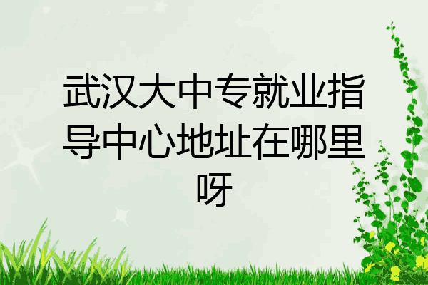 武汉大中专就业指导中心地址在哪里呀