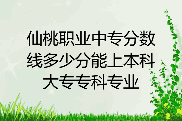 仙桃职业中专分数线多少分能上本科大专专科专业