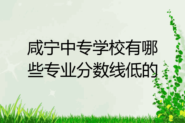 咸宁中专学校有哪些专业分数线低的