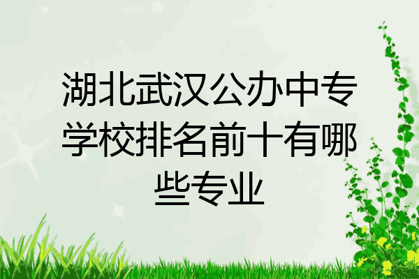 湖北武汉公办中专学校排名前十有哪些专业