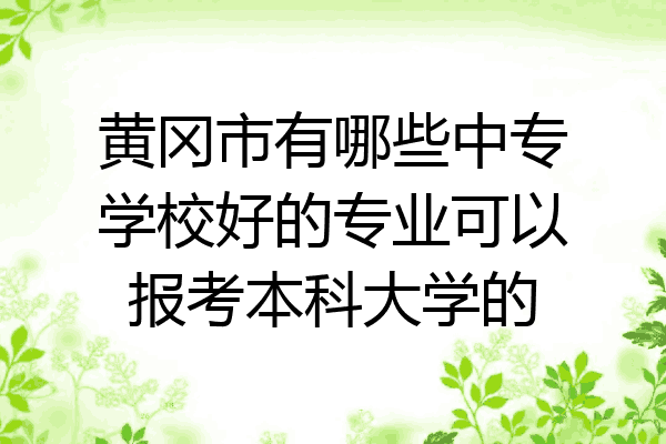 黄冈市有哪些中专学校好的专业可以报考本科大学的