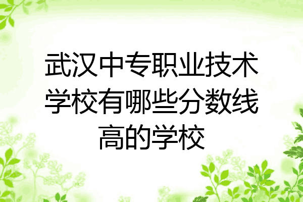 武汉中专职业技术学校有哪些分数线高的学校