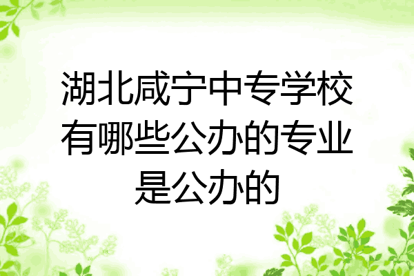 湖北咸宁中专学校有哪些公办的专业是公办的