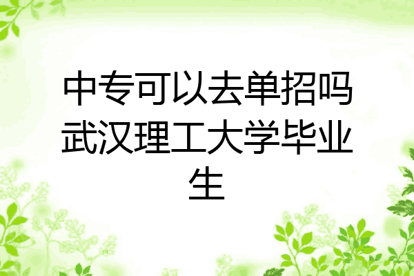 中专可以去单招吗武汉理工大学毕业生
