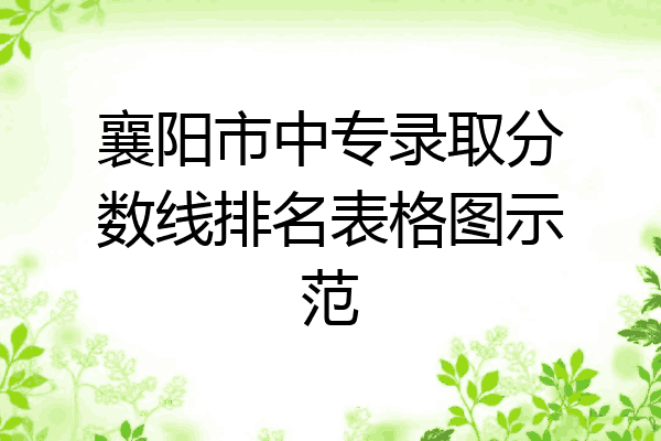 襄阳市中专录取分数线排名表格图示范