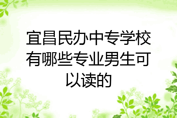 宜昌民办中专学校有哪些专业男生可以读的