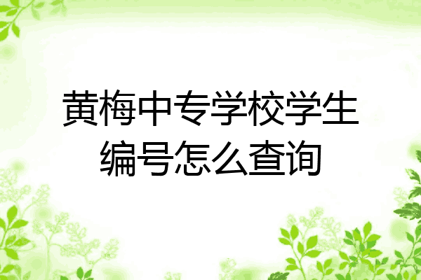 黄梅中专学校学生编号怎么查询