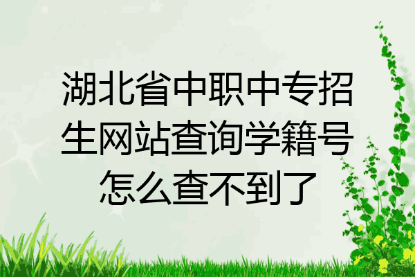 湖北省中职中专招生网站查询学籍号怎么查不到了