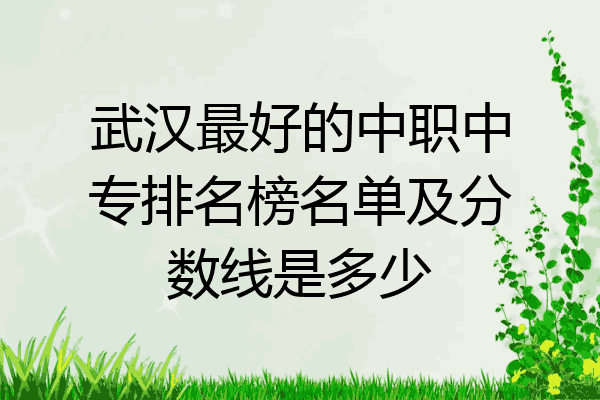 武汉最好的中职中专排名榜名单及分数线是多少