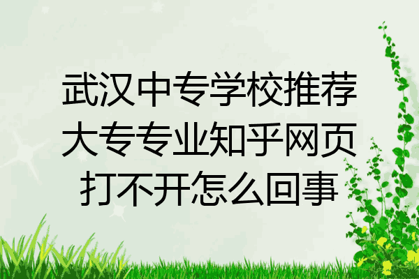 武汉中专学校推荐大专专业知乎网页打不开怎么回事