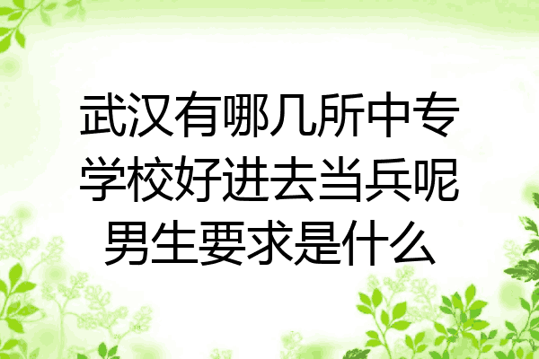 武汉有哪几所中专学校好进去当兵呢男生要求是什么