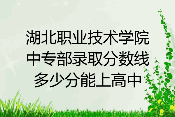 湖北职业技术学院中专部录取分数线多少分能上高中
