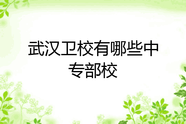 武汉卫校有哪些中专部校