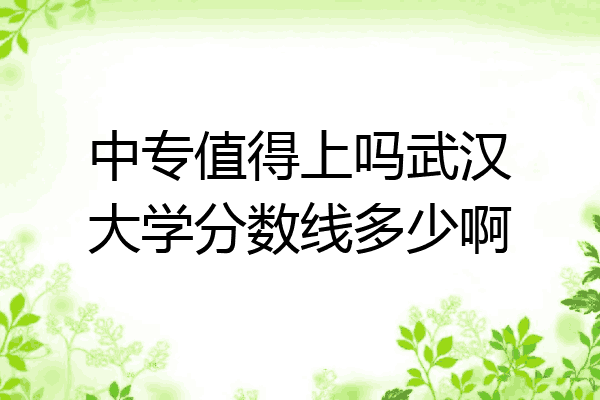 中专值得上吗武汉大学分数线多少啊