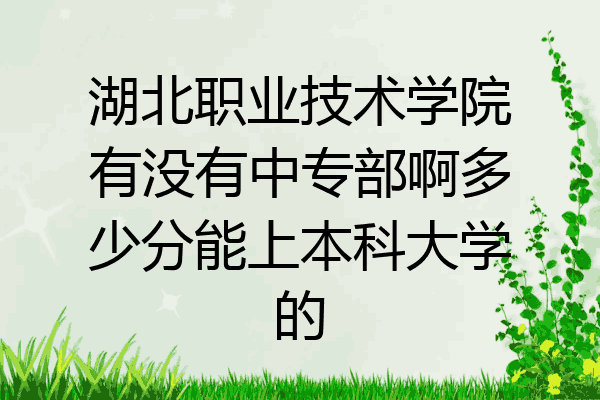 湖北职业技术学院有没有中专部啊多少分能上本科大学的