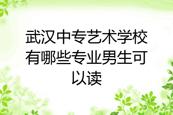 武汉中专艺术学校有哪些专业男生可以读