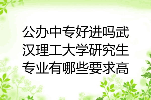 公办中专好进吗武汉理工大学研究生专业有哪些要求高