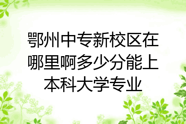 鄂州中专新校区在哪里啊多少分能上本科大学专业