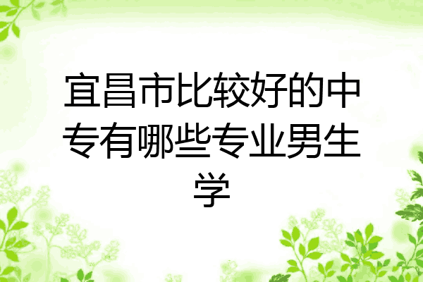 宜昌市比较好的中专有哪些专业男生学