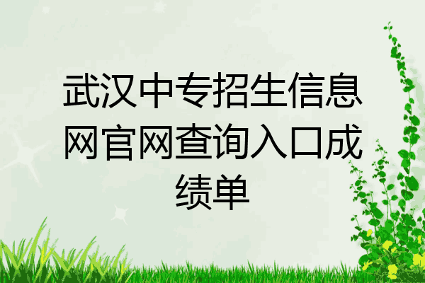 武汉中专招生信息网官网查询入口成绩单
