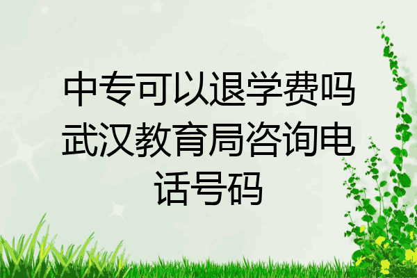 中专可以退学费吗武汉教育局咨询电话号码